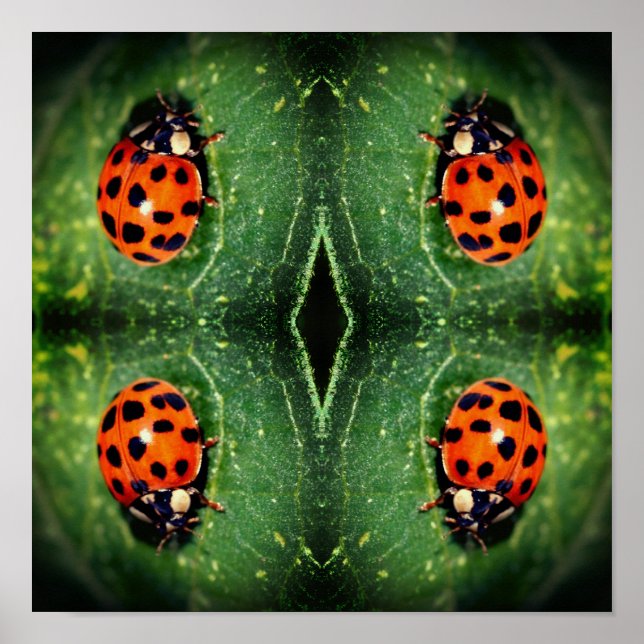 Ladybug på Abstrakten Löv Close Up Poster (Framsidan)