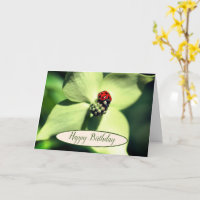Ladybug på Dogwood Flower Birthday