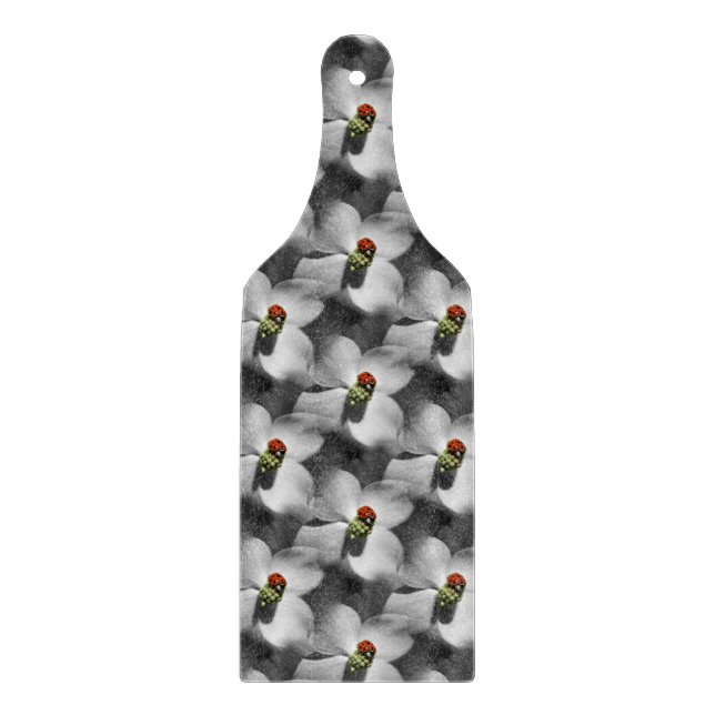 Ladybug på Dogwood Flower Nature Mönster (Framsidan)