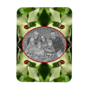 Ladybug på Dogwood Flower Ram Lägg till ditt foto Magnet