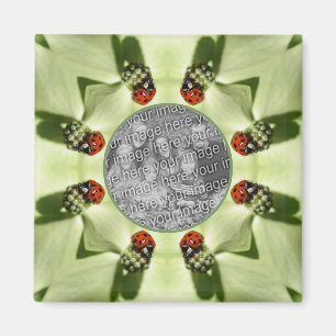 Ladybug på dogwood-natur Lägg till ditt foto Magnet