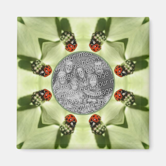 Ladybug på dogwood-natur Lägg till ditt foto Magnet (Framsidan)