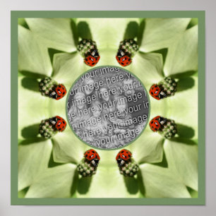 Ladybug på dogwood-natur Lägg till ditt foto Poster