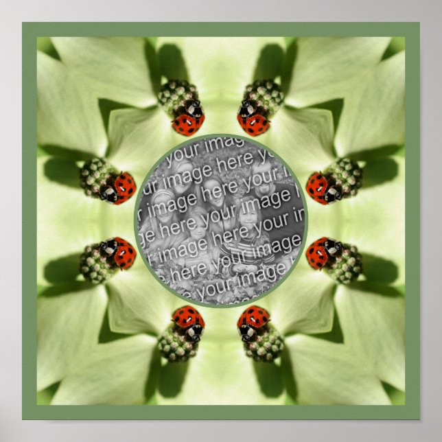 Ladybug på dogwood-natur Lägg till ditt foto Poster (Framsidan)