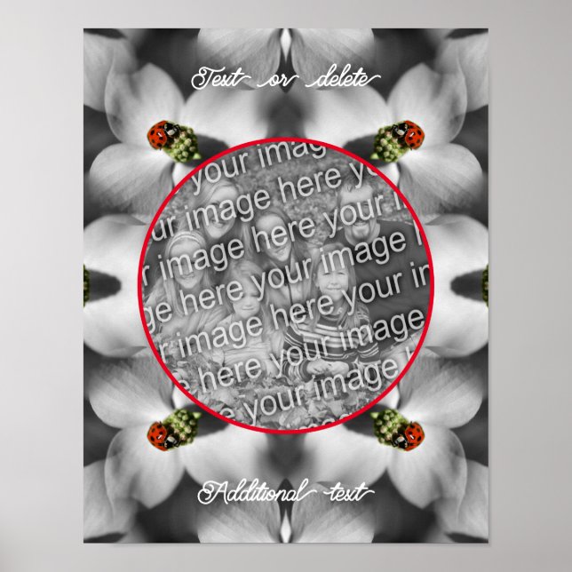 Ladybug på Dogwood-Personligen Lägg till ditt foto Poster (Framsidan)