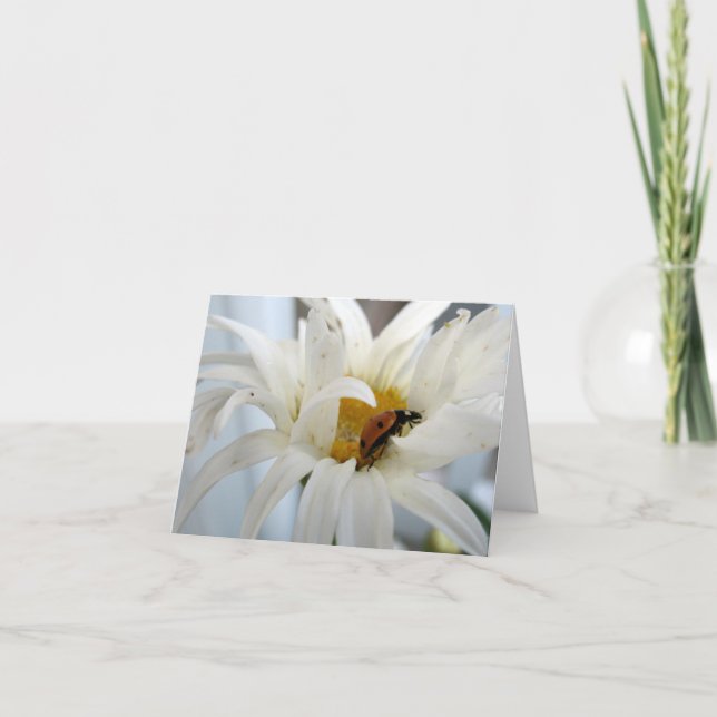 Ladybug på ett tomt anteckningskort för Daisy (Framsida)