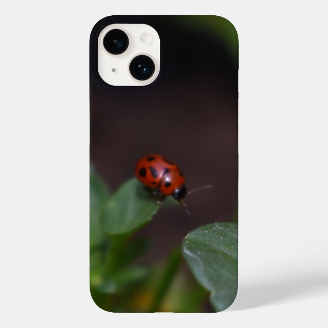 Ladybug på Flowers (Baksida)