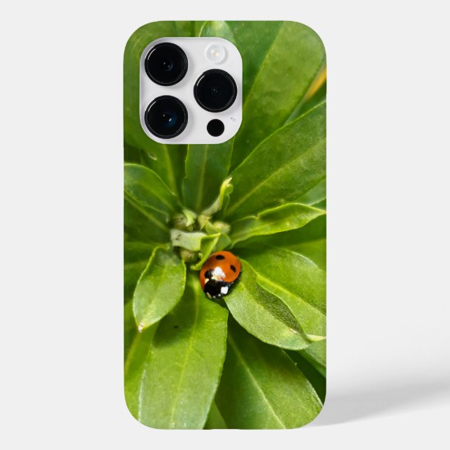 Ladybug på Flowers (Baksida)