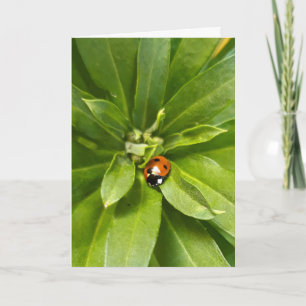 Ladybug på Flowers Anteckningskort