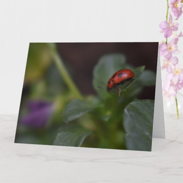 Ladybug på Flowers Kort (Orkide)