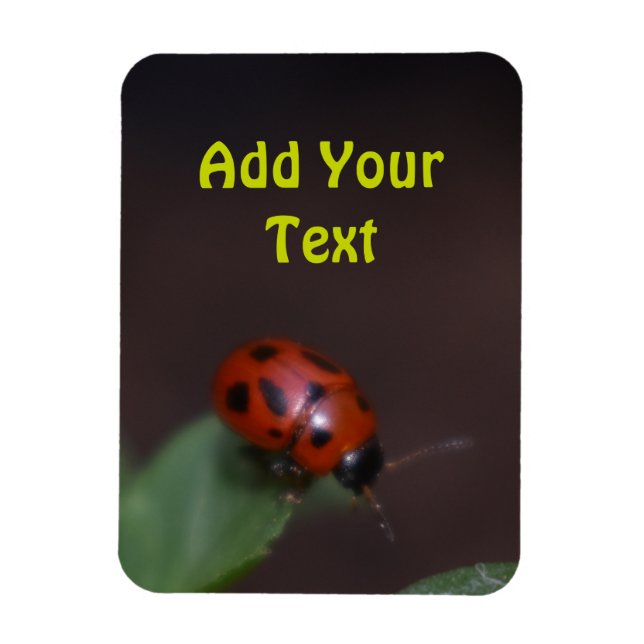 Ladybug på Flowers Magnet (Vertikal)