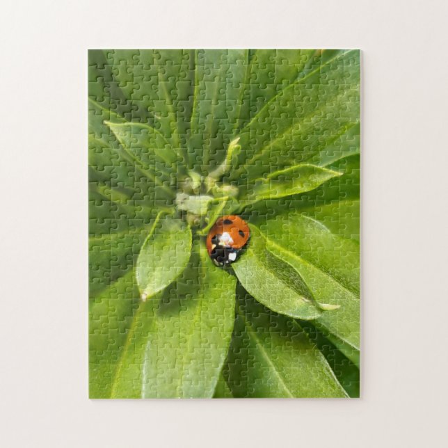 Ladybug på Flowers Pussel (Vertikal)