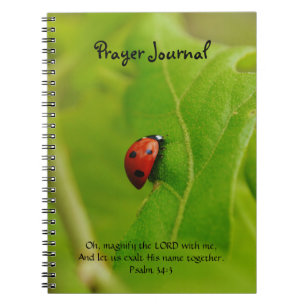 Ladybug på Grönt Löv Faith Prayer Journal Anteckningsbok