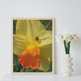 Ladybug på Gult Daffodil Blommigt Fototryck