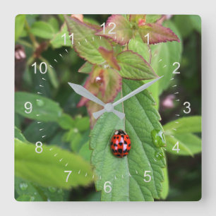 ladybug på löv fyrkantig klocka
