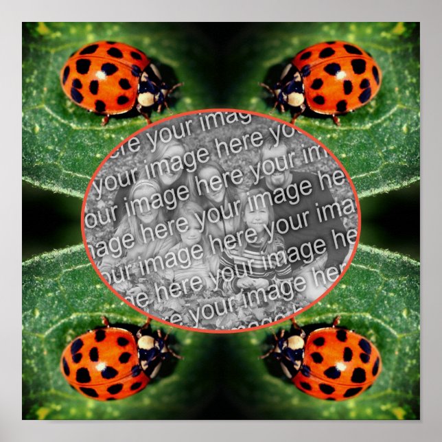Ladybug på Löv Ram Skapar ditt eget foto Poster (Framsidan)