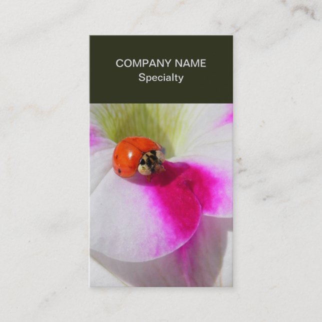 Ladybug på petunia visitkort (Framsida)