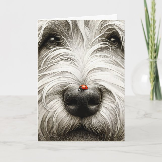 Ladybug på Shaggy Hund näsa Kort (Framsida)