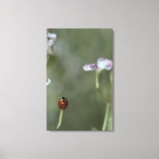 Ladybug på Stem Canvastryck