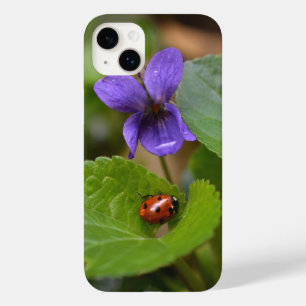 Ladybug på Sweet Violet Flowers