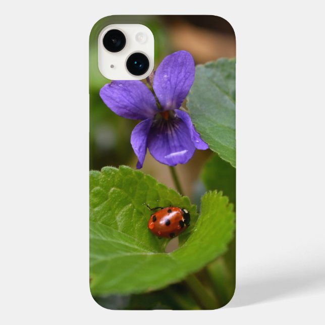 Ladybug på Sweet Violet Flowers (Baksida)
