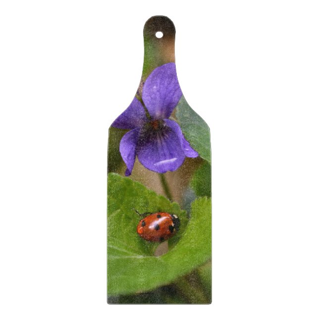 Ladybug på Sweet Violet Flowers (Framsidan)