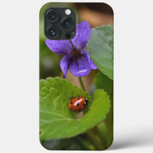 Ladybug på Sweet Violet Flowers