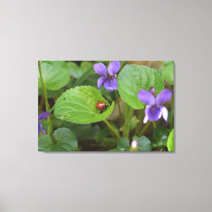 Ladybug på Sweet Violet Flowers Canvastryck