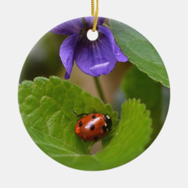 Ladybug på Sweet Violet Flowers Julgransprydnad Keramik (Framsidan)