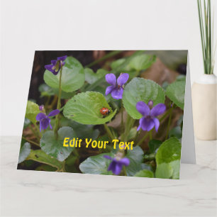 Ladybug på Sweet Violet Flowers Kort