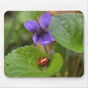 Ladybug på Sweet Violet Flowers Musmatta
