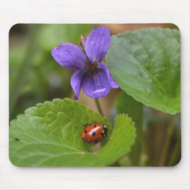 Ladybug på Sweet Violet Flowers Musmatta (Framsidan)