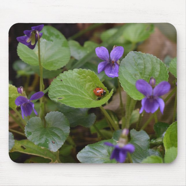 Ladybug på Sweet Violet Flowers Musmatta (Framsidan)