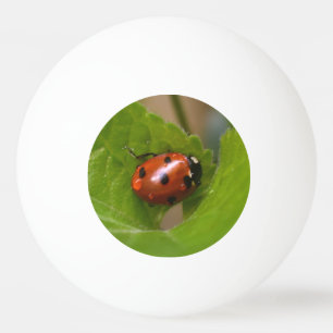 Ladybug på Sweet Violet Flowers Pingisboll