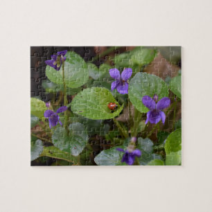 Ladybug på Sweet Violet Flowers Pussel