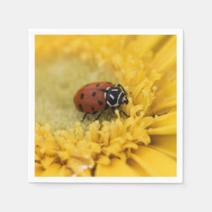 Ladybug Pappersservett