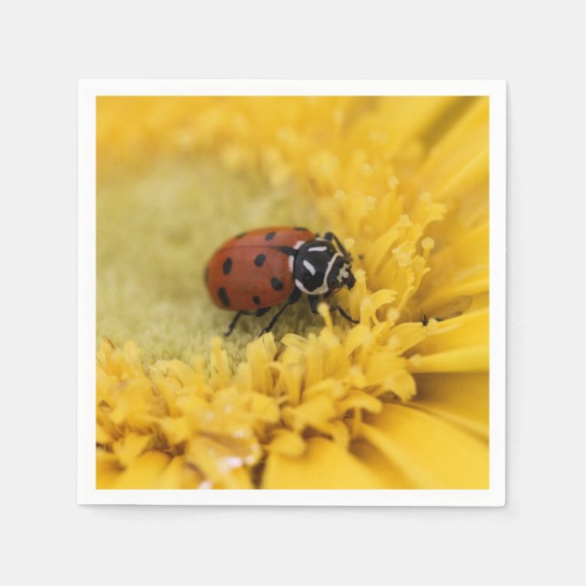 Ladybug Pappersservett (Framsidan)
