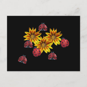 Ladybug Party Vykort
