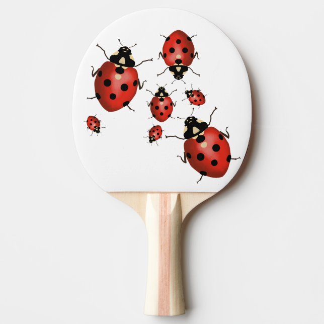 Ladybug Pingisracket (Framsidan)