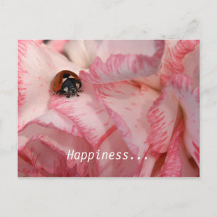 Ladybug Postcard Vykort