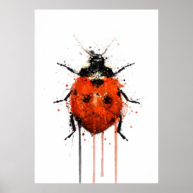 Ladybug Poster (Framsidan)