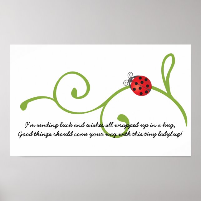 Ladybug Poster (Framsidan)