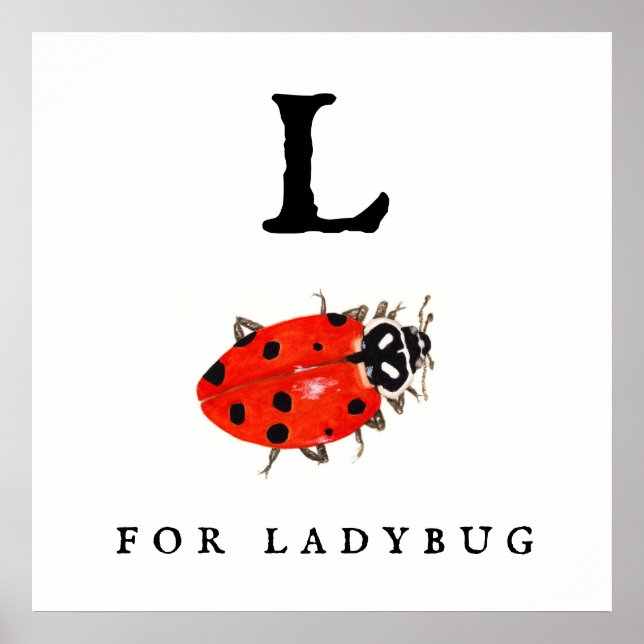 Ladybug Poster (Framsidan)