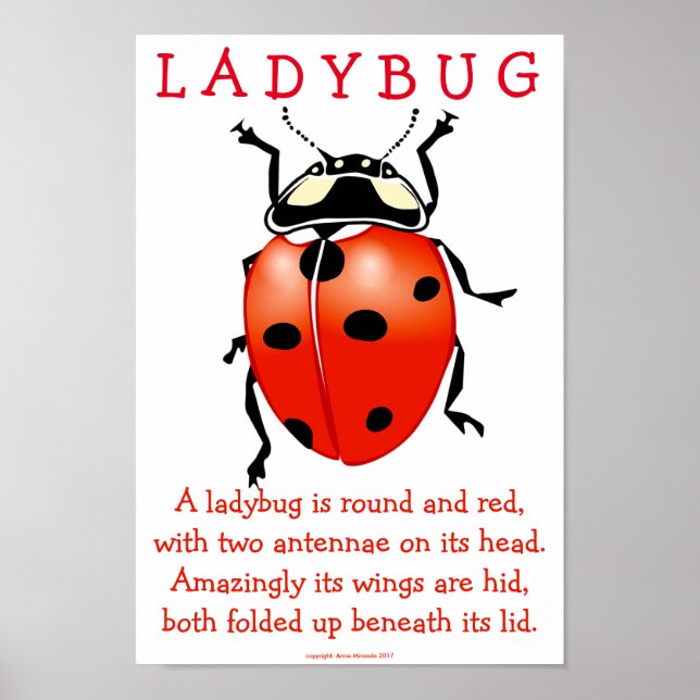 Ladybug Poster (Framsidan)