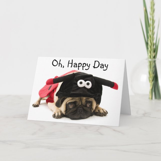 Ladybug Pug Card Kort (Framsida)