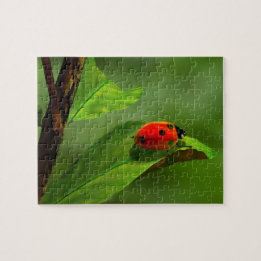 Ladybug Pussel