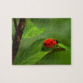 Ladybug Pussel
