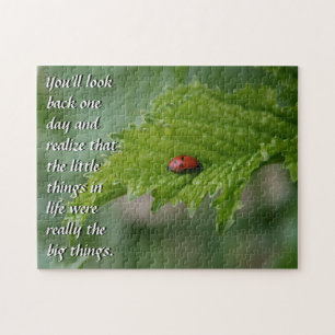 Ladybug Pussel