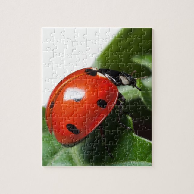 Ladybug Pussel (Vertikal)