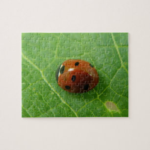 Ladybug Puzzle Pussel